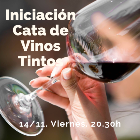 Inicición a los Vinos Tintos Maridados