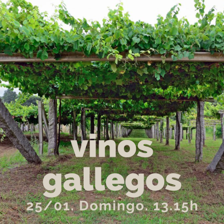 25 Enero (Dom) - Sólo Gallegos y Quesos. - 13:15h